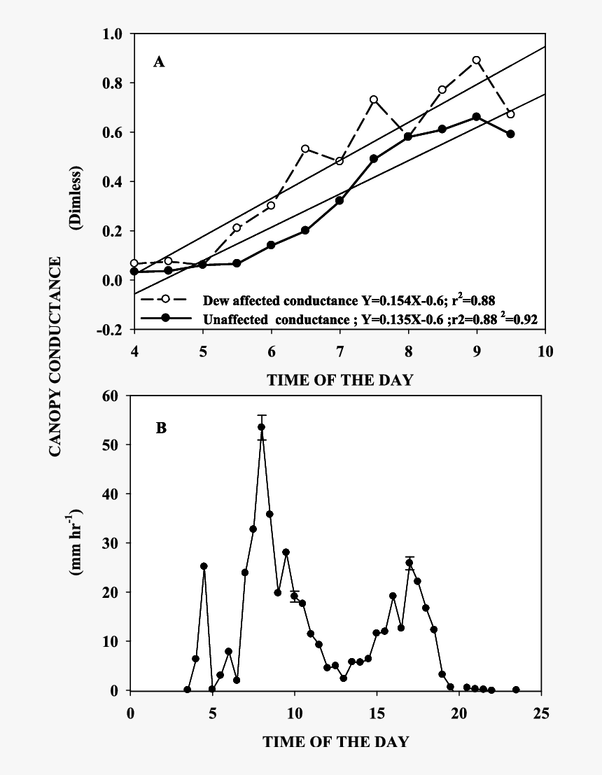 Diagram, HD Png Download