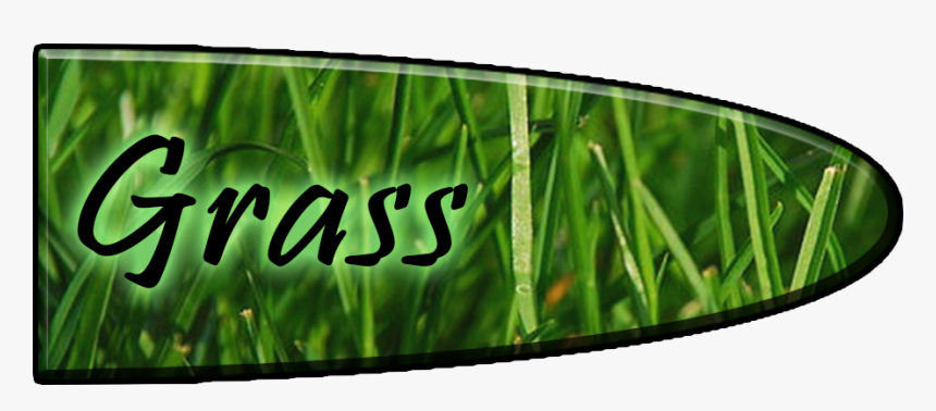 070 Large - Green Grass, HD Png Download
