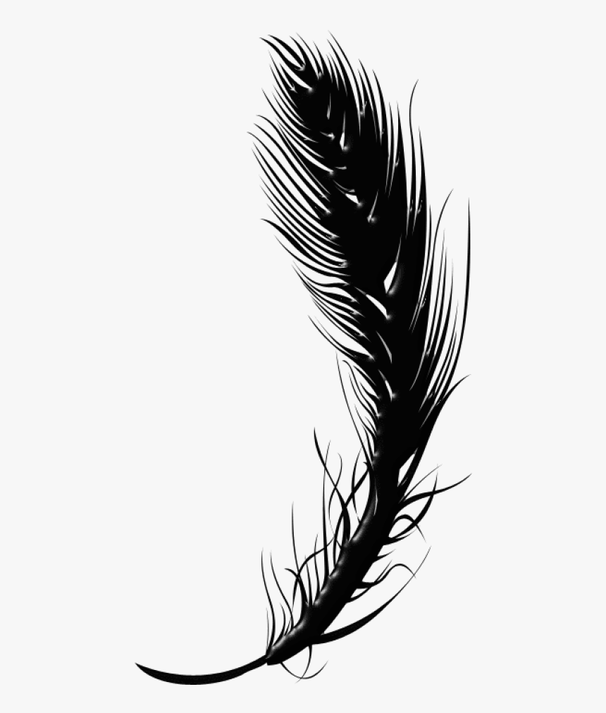 Feather Pen Png - Clipart Feather Png Black And White, Transparent Png