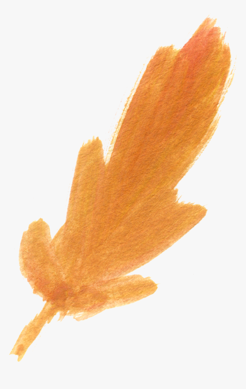 Free Fall Watercolor Floral Clip Art- So Pretty - Free Orange Watercolor Transparent, HD Png Download