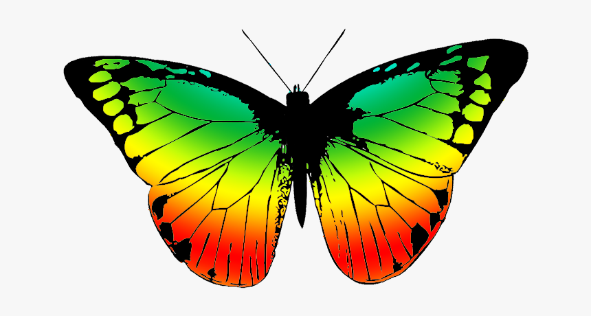 Butterfly Clipart Footed - Black And White Butterfly Png, Transparent Png