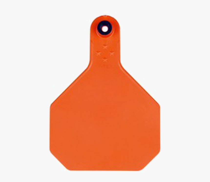 Masonry Tool, HD Png Download
