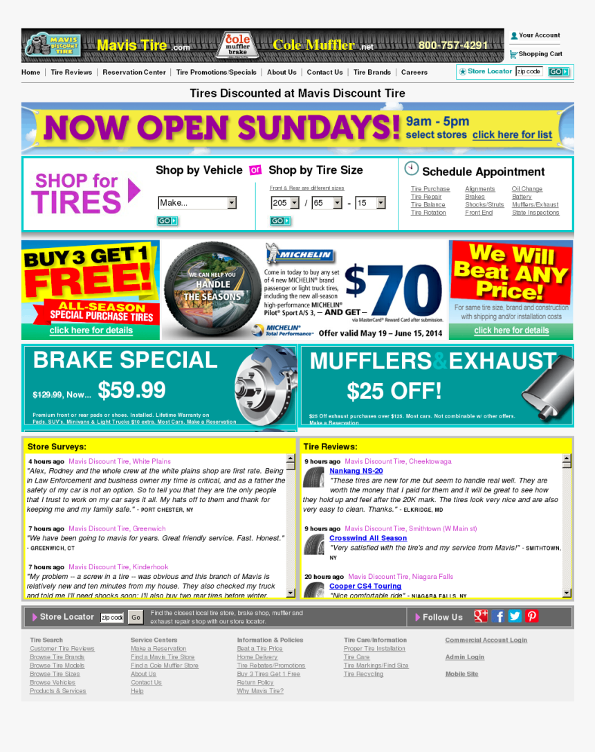 Araucaria Para Colorir, HD Png Download