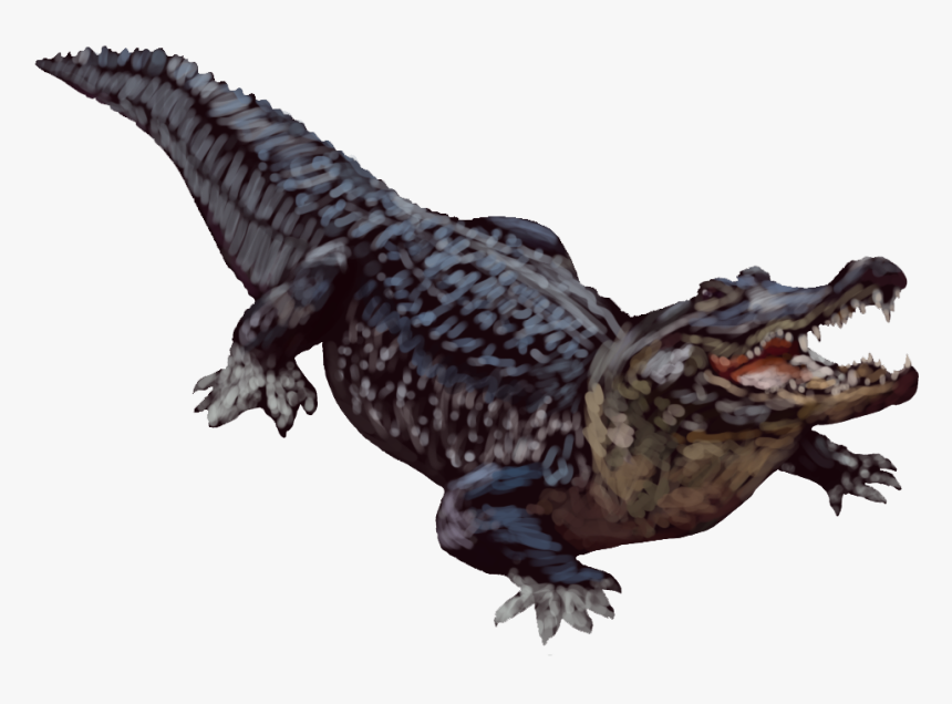 Alligator Transparent Background, HD Png Download