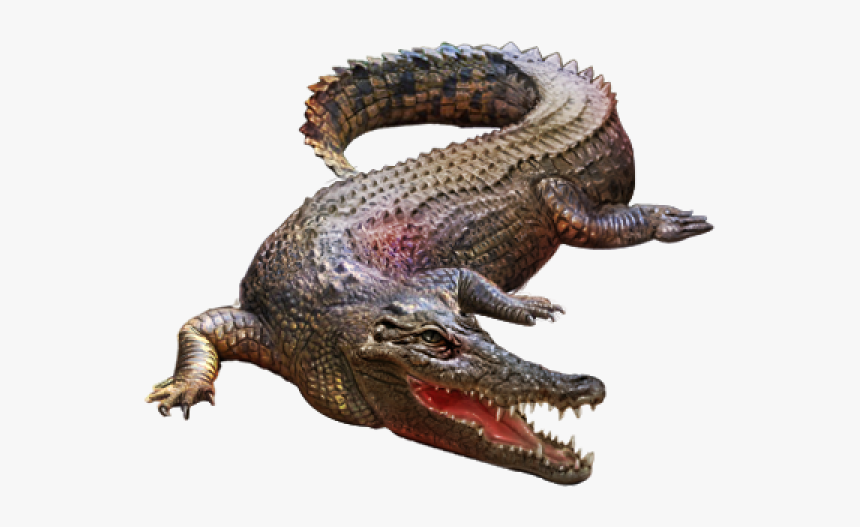 Crocodile Png Clipart - Transparent Crocodile Png, Png Download