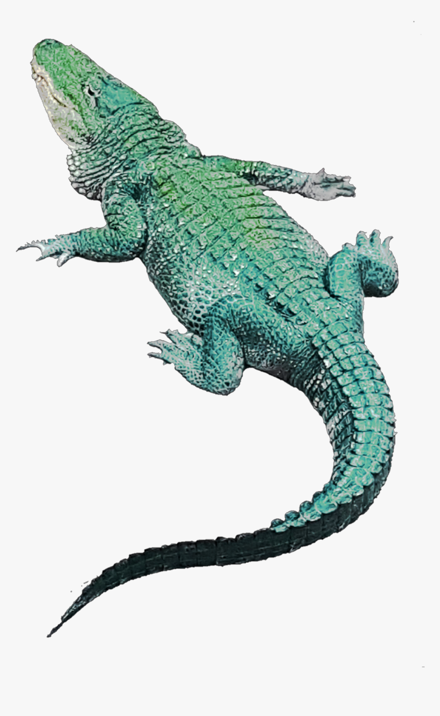 #crocodile #png #green #greenaestetic - Green Iguana, Transparent Png