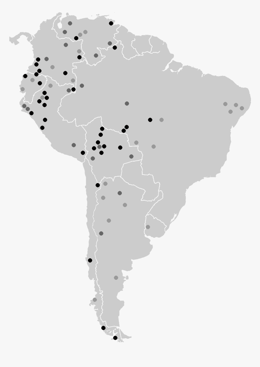Isolates South America - Short Tailed Chinchilla, HD Png Download