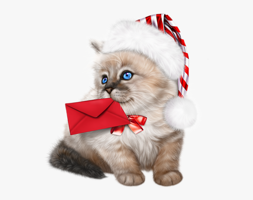Tube Noël - Ragdoll Kittens Clipart, HD Png Download