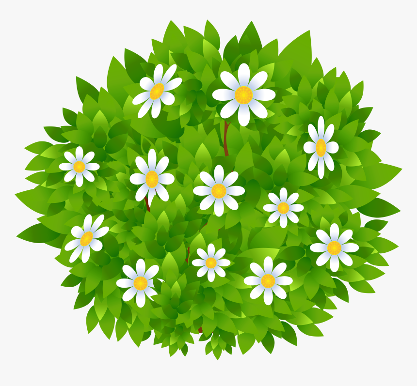 Transparent Background Bush Clipart - Bushes With Flowers Clipart, HD Png Download