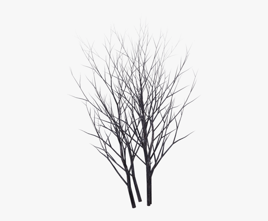 Bush Png Black And White - Silhouette, Transparent Png
