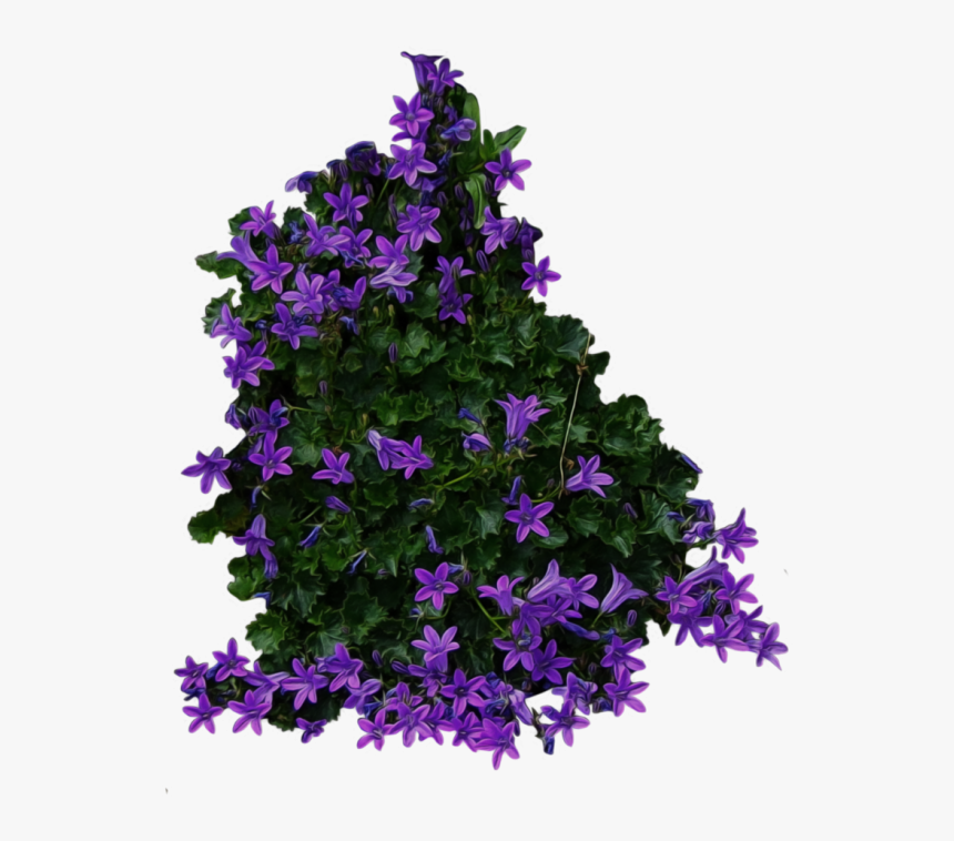 Bush Png Free Image Download - Flowers Top View Png, Transparent Png