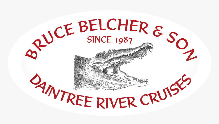 American Alligator, HD Png Download