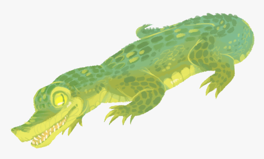 Alligator Crocodile Caiman Gharial, HD Png Download