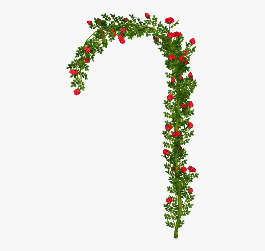 Rosebush Arch Element Png Clipart Picture - Arch Roses Png, Transparent Png