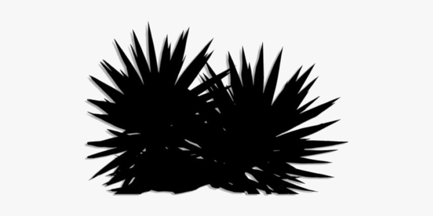 Bush Png Transparent Images - Shrub Tropical Plant Png, Png Download