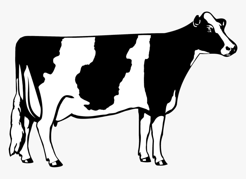 Cow Png Clipart - Dairy Cow Clip Art, Transparent Png