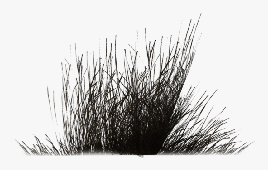 Bush Png Black And White Transparent Bush Black And - Portable Network Graphics, Png Download