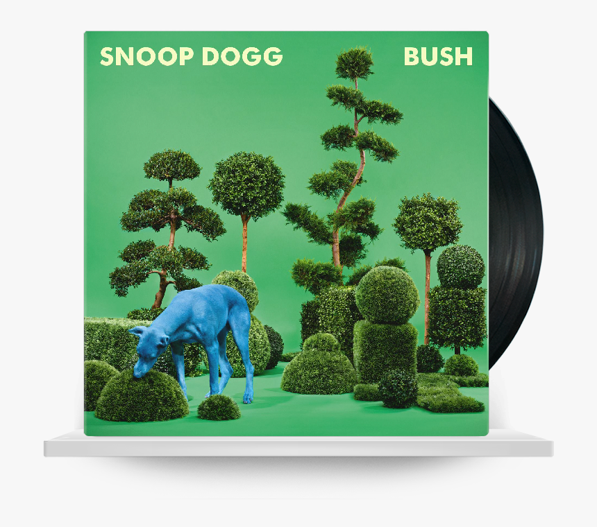 Snoop Dogg Bush , Png Download - Snoop Dogg Bush Album Cover, Transparent Png