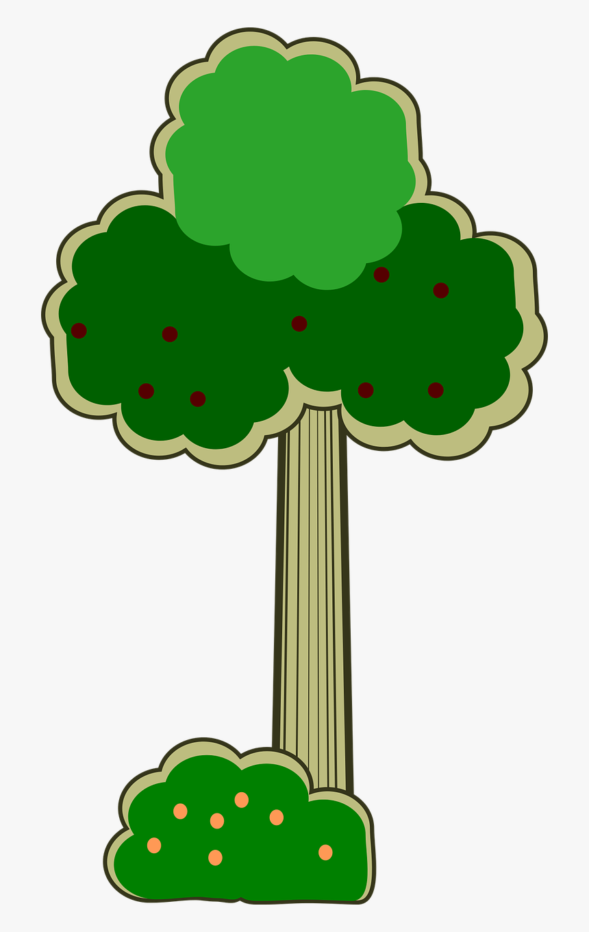 Park, Tree, Leaf, Green, Bush, Forest, Nature - Natural Landscape, HD Png Download