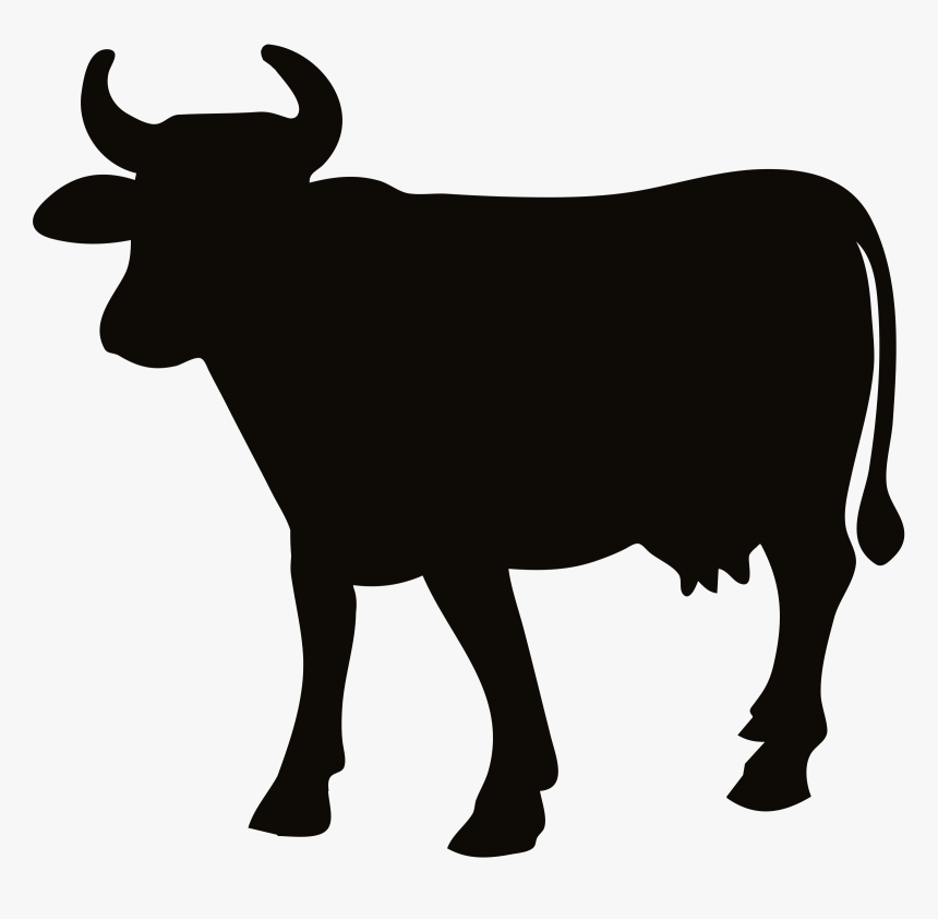 Charolais Cattle Hereford Cattle Silhouette Clip Art - Cow Silhouette Clipart, HD Png Download