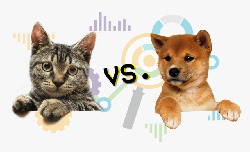 Who Does The Internet Love More - Cat Png Transparent, Png Download