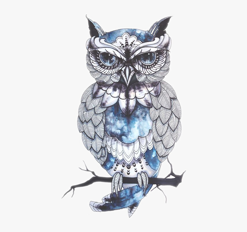 Owl Drawing Artist Bird Tattoo Png Free Photo Clipart - Owl Png, Transparent Png