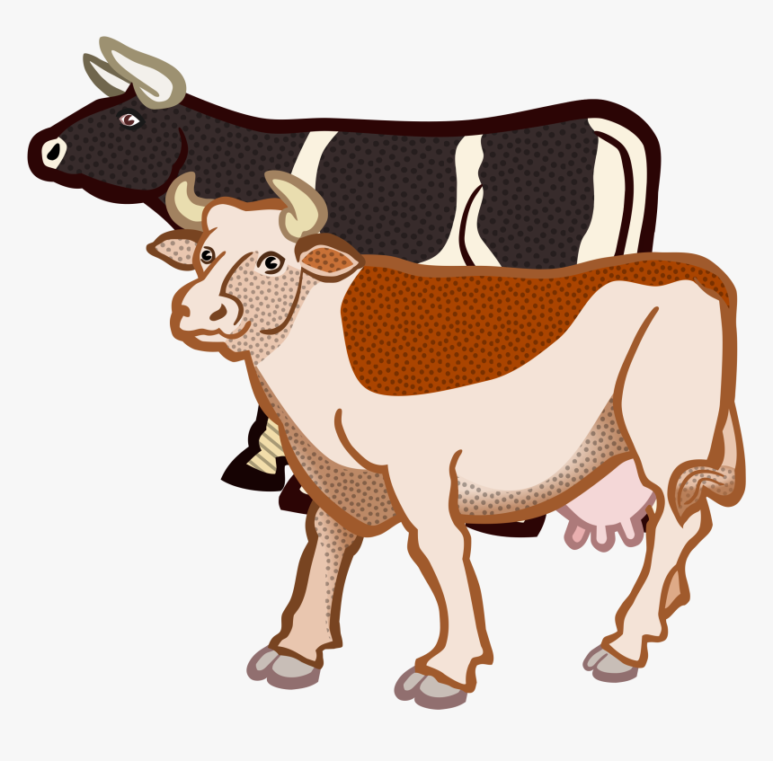 Cows Coloured Big Image - Two Cows Clipart, HD Png Download