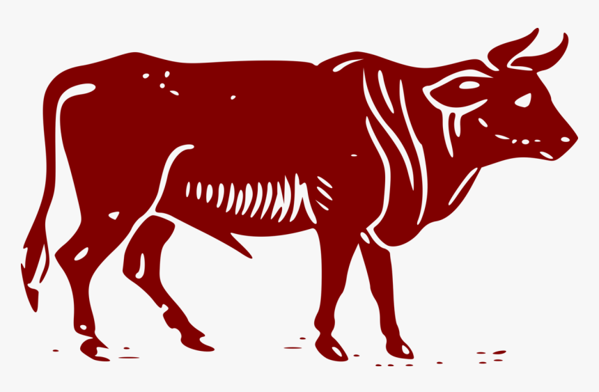 Area,ox,dairy Cow - Beef Ox, HD Png Download