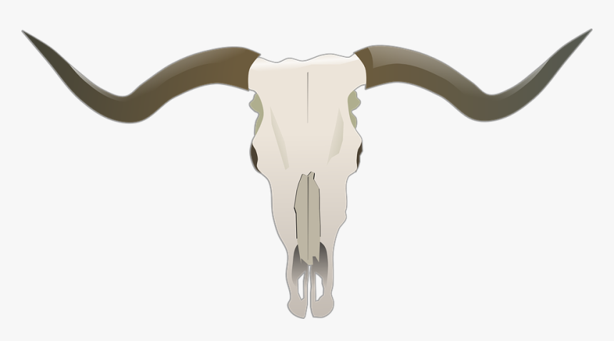 Longhorn Skull, HD Png Download