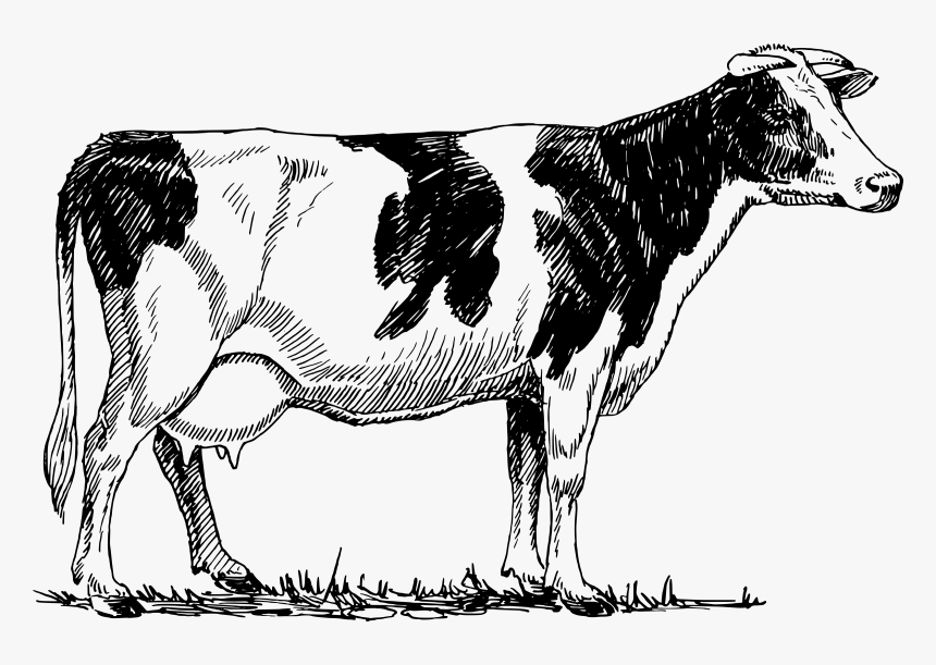 Clipart - Cow Vintage Png, Transparent Png