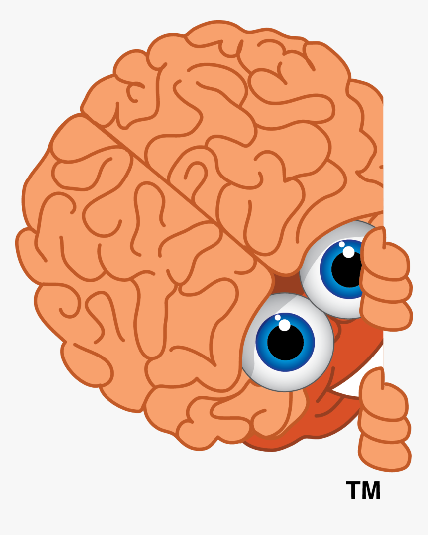 Lyle Wildes - Brain Clipart, HD Png Download