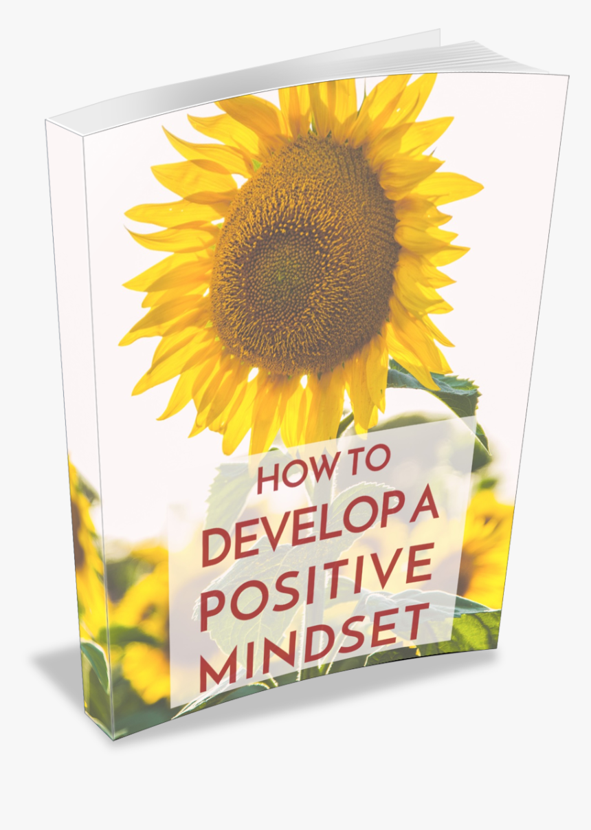 Positive Attitude Png, Transparent Png