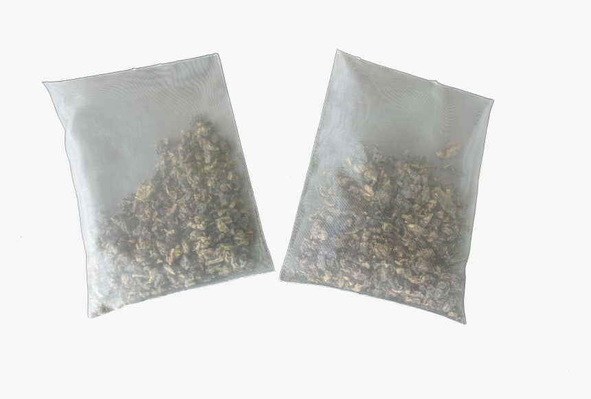 Sunflower Seed, HD Png Download