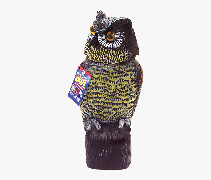 Owl Garden Defense, HD Png Download