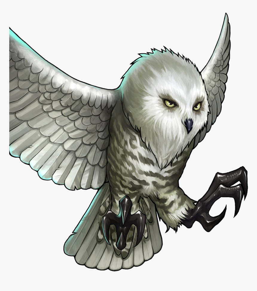 Gems Of War Wikia - Snowy Owl Png, Transparent Png