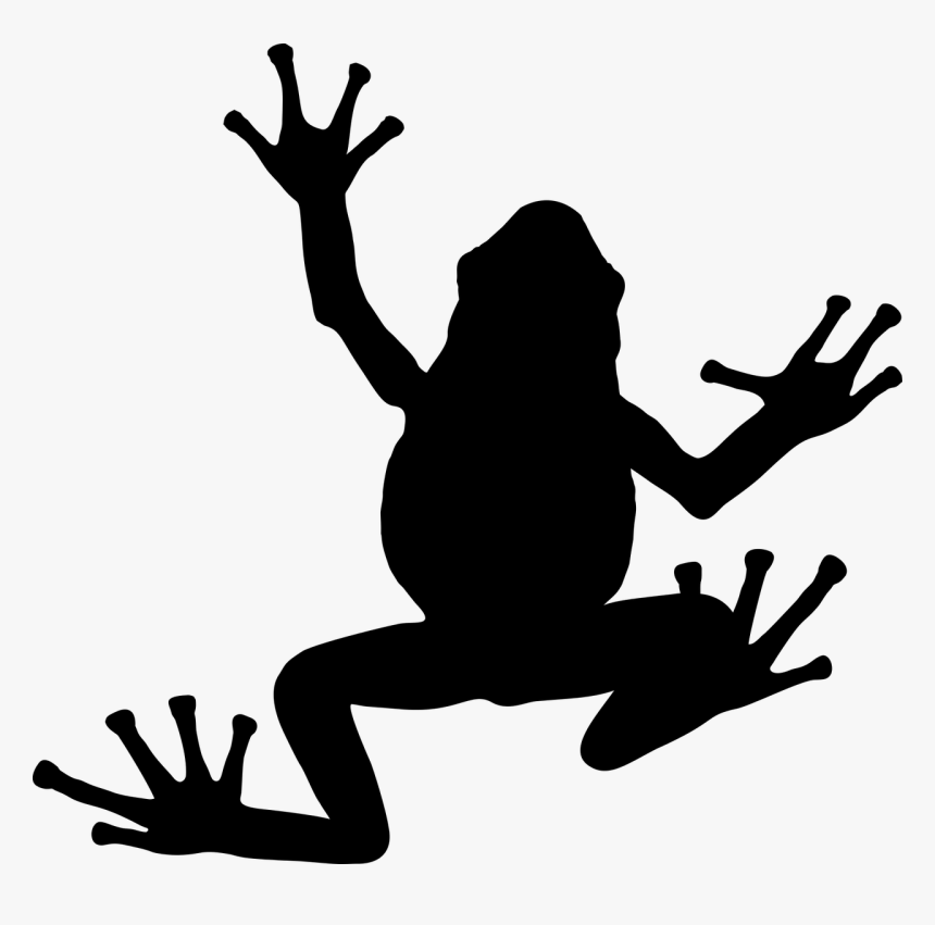 Frog Vector - Frogs Silhouette, HD Png Download