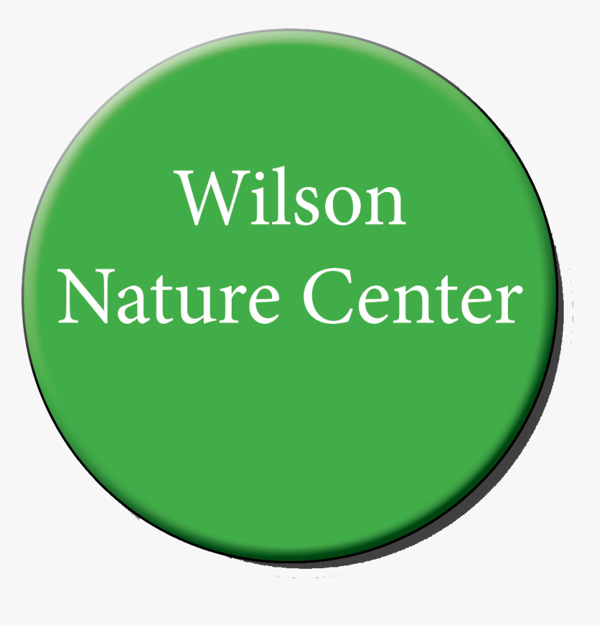 Other Woman Anne Curtis, HD Png Download