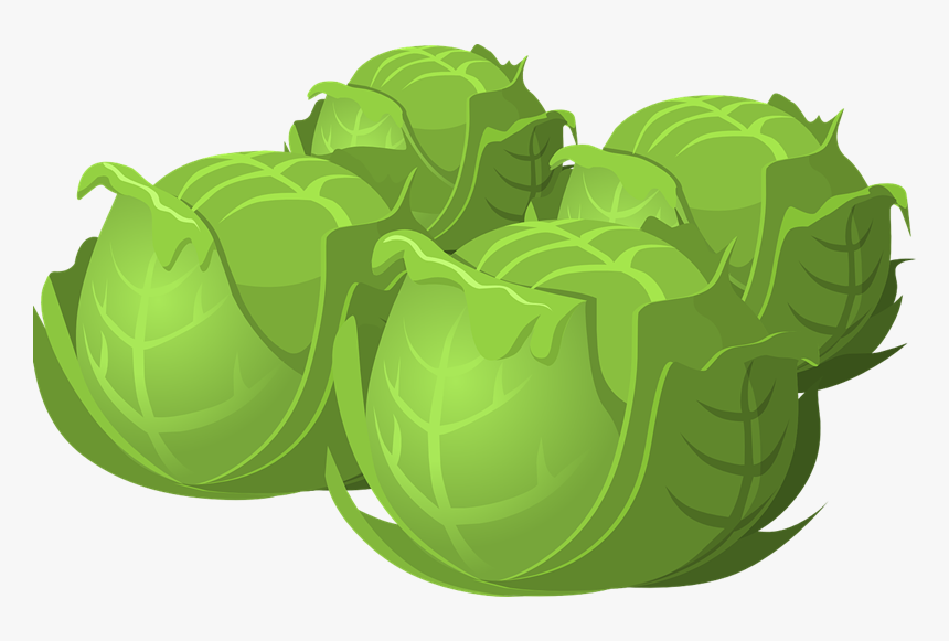 Brussel Sprouts Cartoon Png, Transparent Png