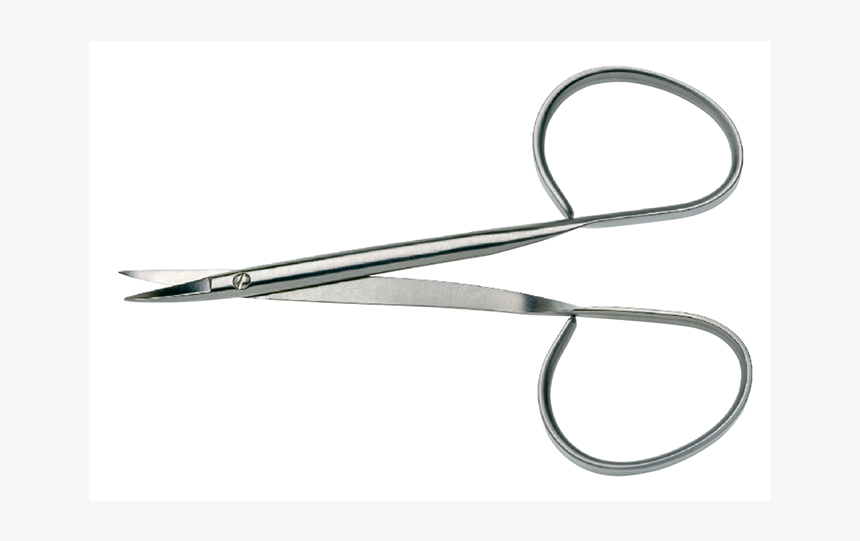 Iris Ribbon Scissors - Circle, HD Png Download