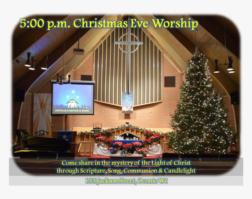 Fpcochristmaseve2015 - Christmas Tree, HD Png Download