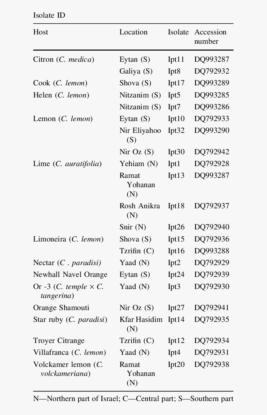 Screenshot, HD Png Download