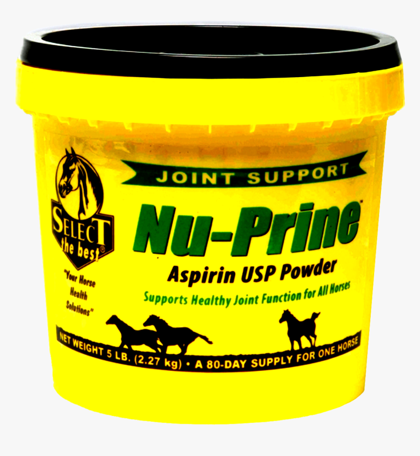 Rat, HD Png Download