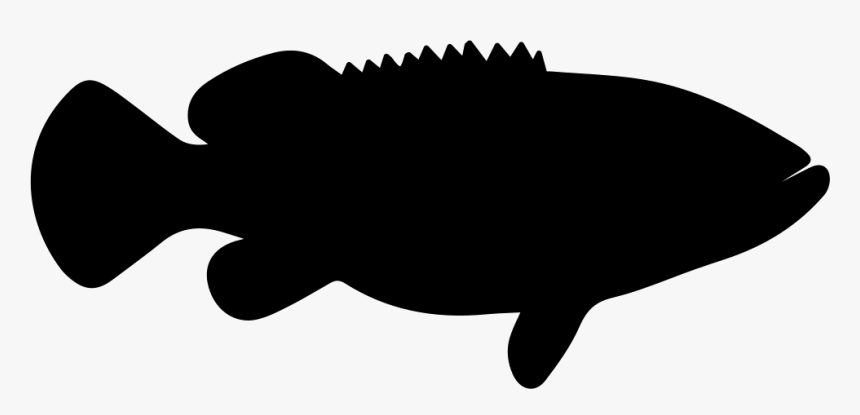 Goliath Grouper Fish Shape - Grouper Fish Shape, HD Png Download