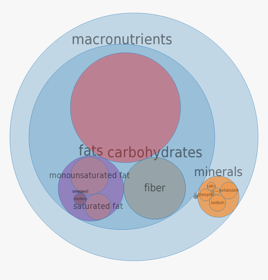 Circle, HD Png Download