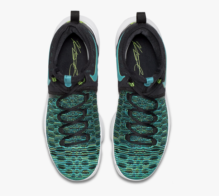 kd birds of paradise