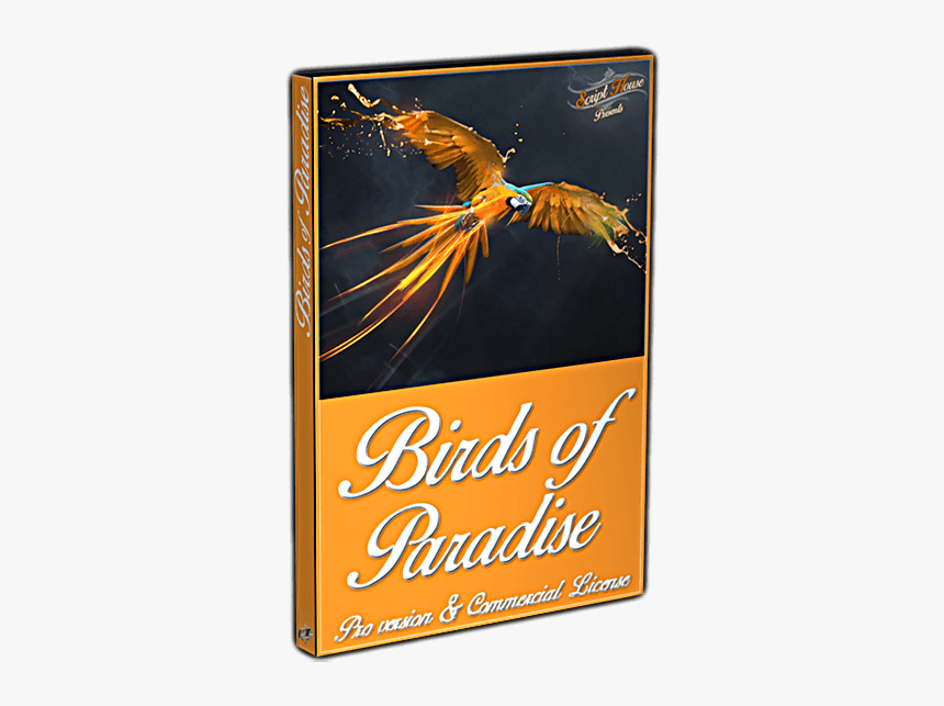 Graphic Design, HD Png Download