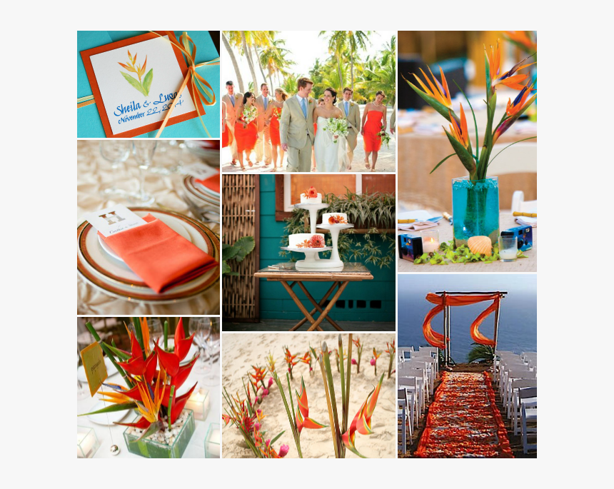 Birds Of Paradise Png, Transparent Png