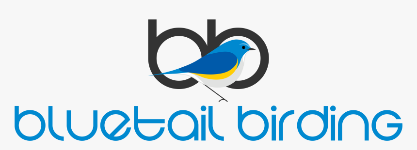 Logo Light Bg Full Png - Graphic Design, Transparent Png