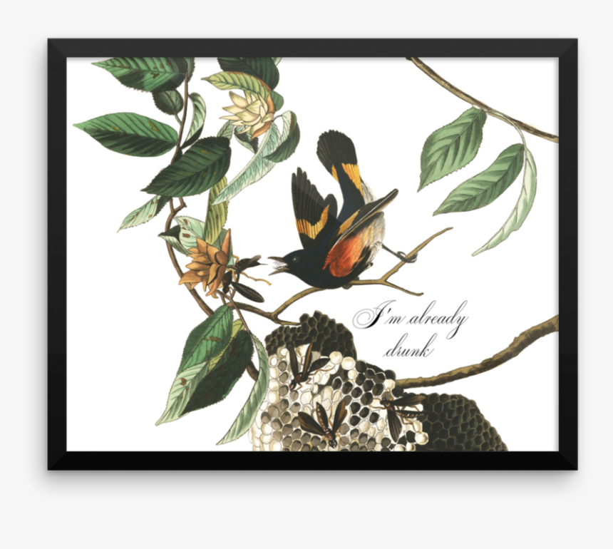 Already Drunk Framed 
 Srcset Data - I M Already Drunk Effin Birds, HD Png Download