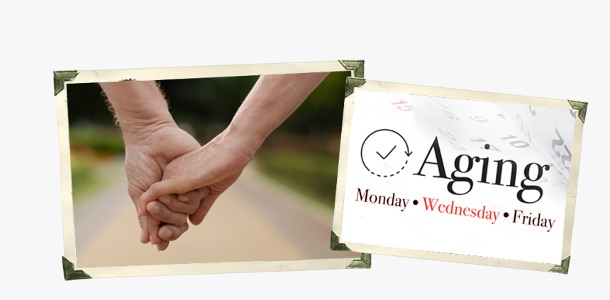 Sign, HD Png Download